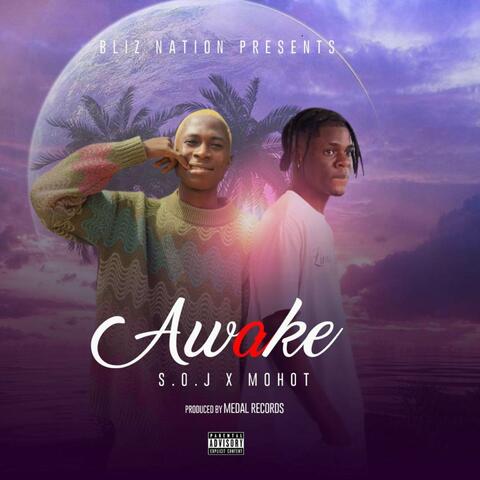 AWAKE album art
