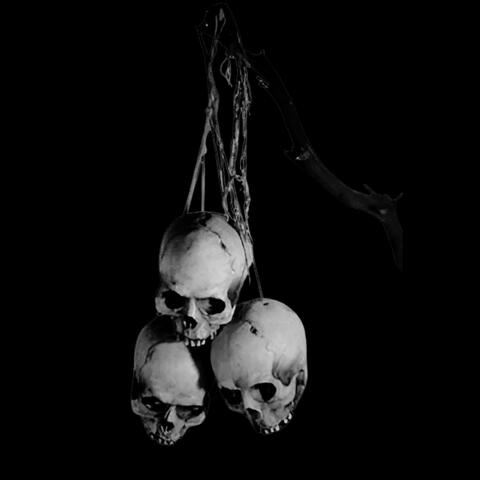 Demise album art