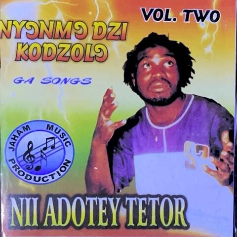 Nyɔnmɔ Dzi Kojolɔ album art
