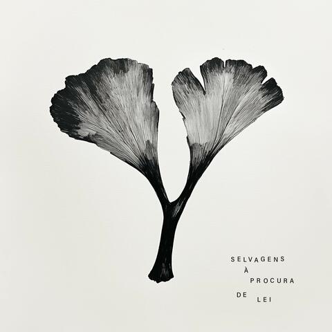Y album art