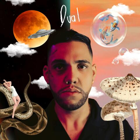 Dual album art
