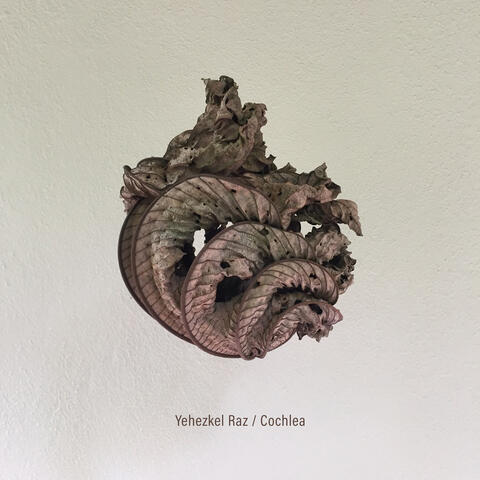 Cochlea album art
