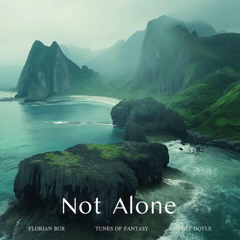 Not Alone album art