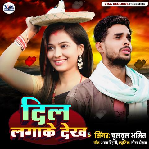 DIL LAGAKE DEKHA album art