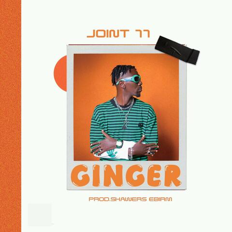 Ginger album art
