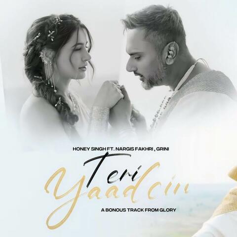 Teri Yaadein album art