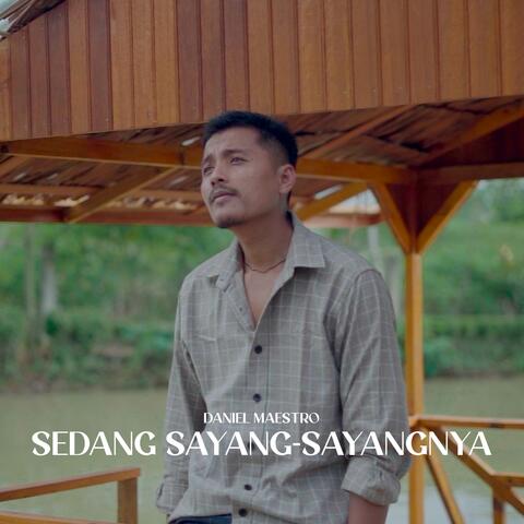 Sedang Sayang Sayangnya album art