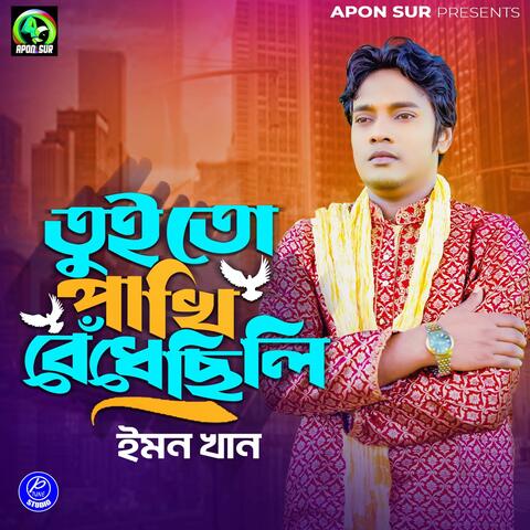 Tui To Pakhi Bedechili album art