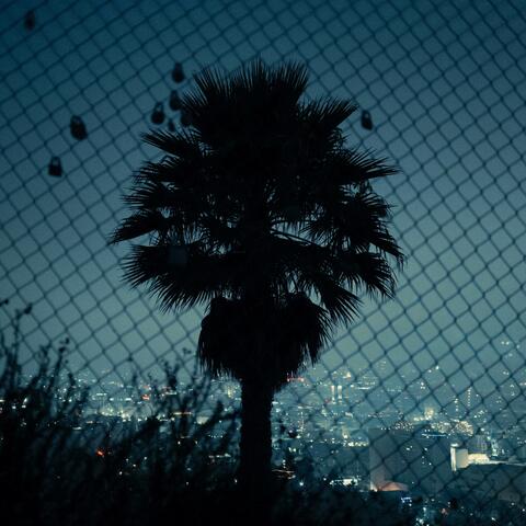 All I Want album art