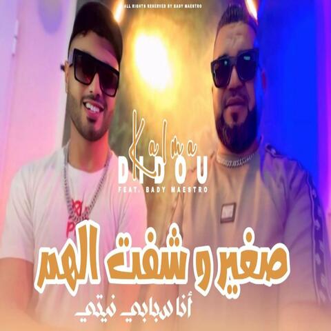 صغير و شفت الهم album art