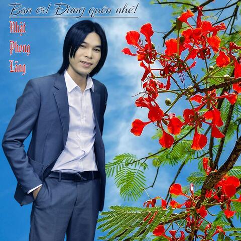 BẠN ƠI ĐỪNG QUÊN NHÉ album art