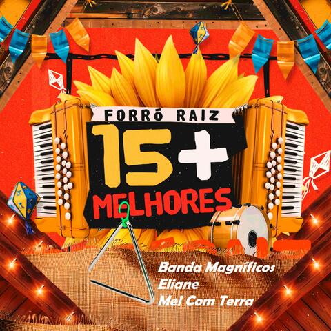 Forró Raiz 15+ album art