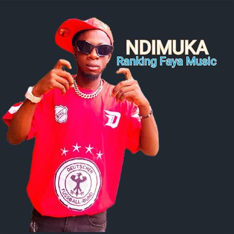 Ndimuka album art