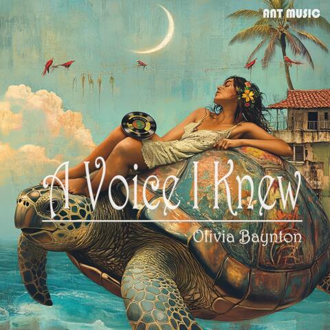 A Voice I Knew album art