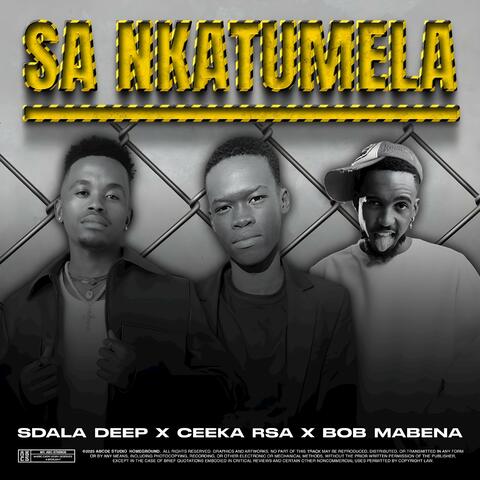 Sa Nkatumela album art