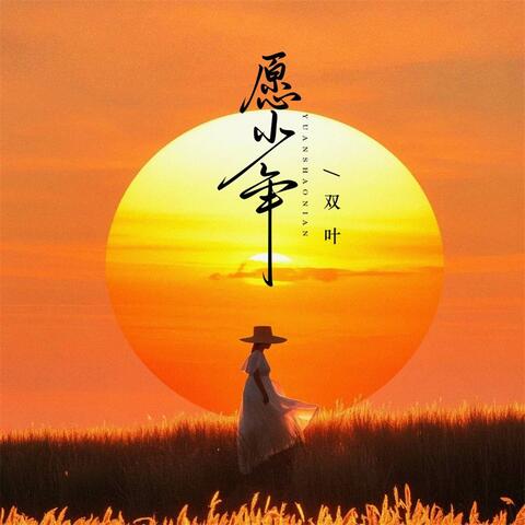 愿少年 album art