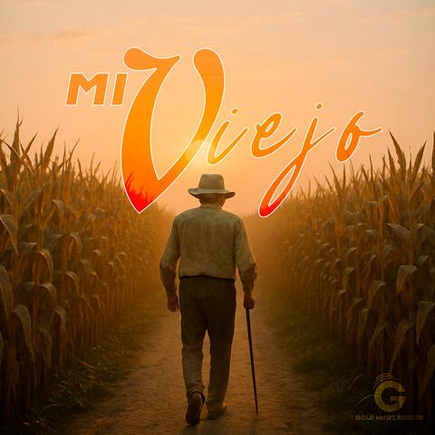 Mi Viejo album art