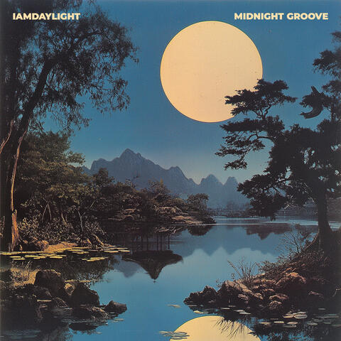 Midnight Groove album art