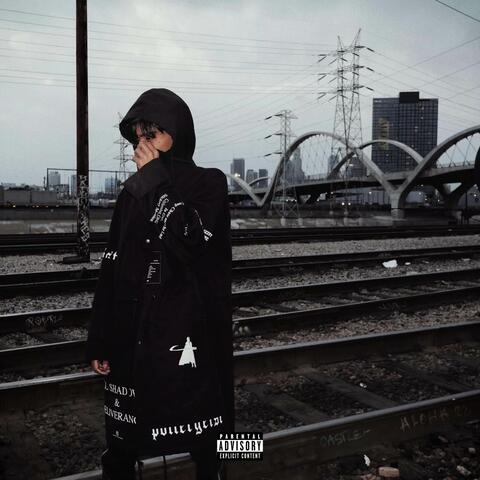 FALLIN album art