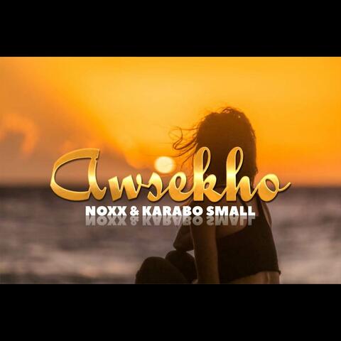 Awsekho album art