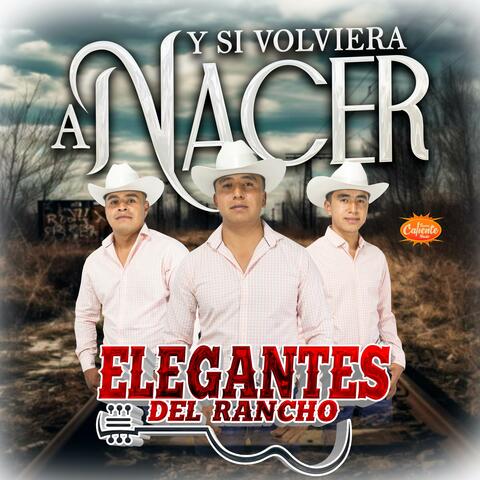 Y Si Volviera A Nacer album art