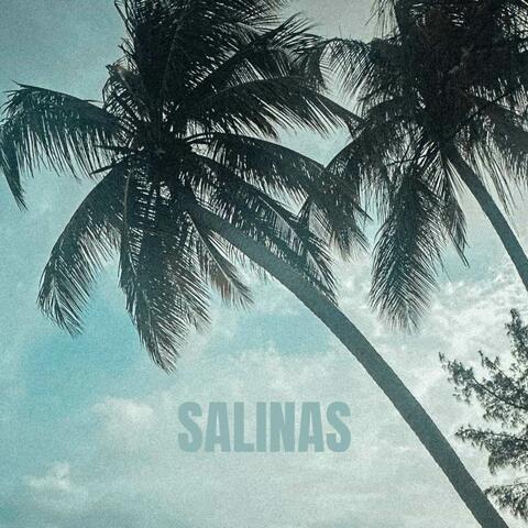 SALINAS album art