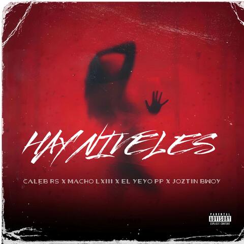 Hay Niveles album art
