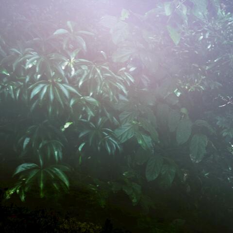 Sacred Space album art