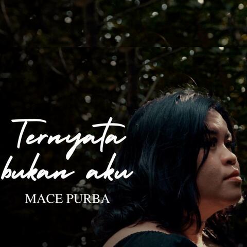 TERNYATA BUKAN AKU album art