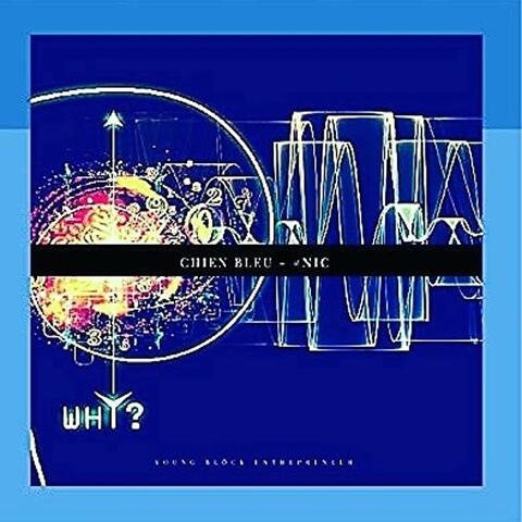 PDD album art