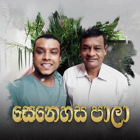 Senehasa Paala album art