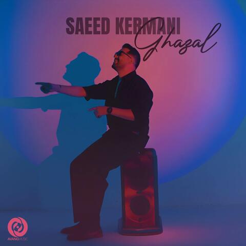 Ghazal album art