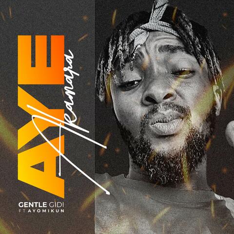 Aye Akamara album art