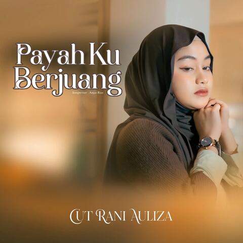 Payah Ku Berjuang album art