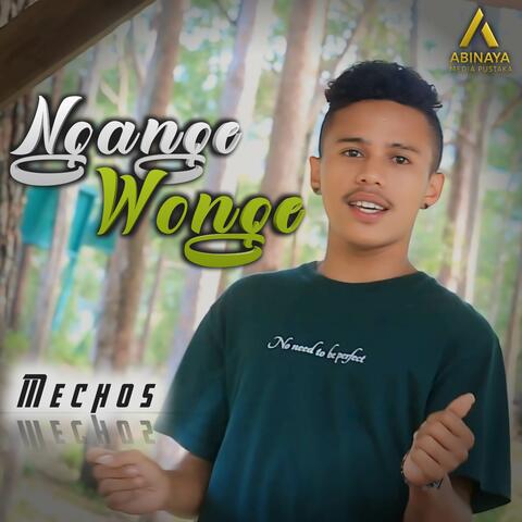 NGANGE WONGE album art
