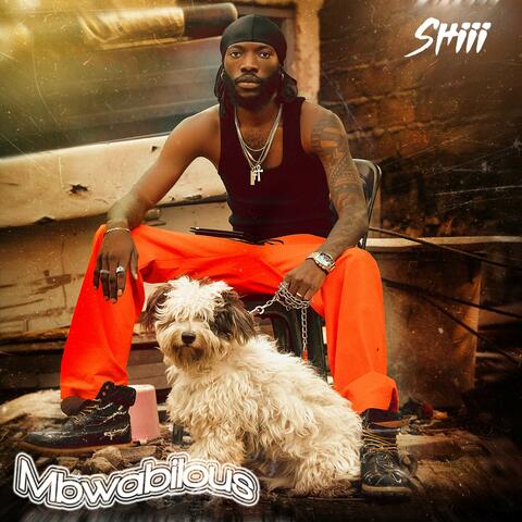 Mbwabilous album art