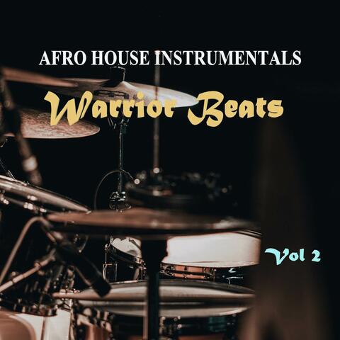 Afro House Instrumentals Vol 2 album art