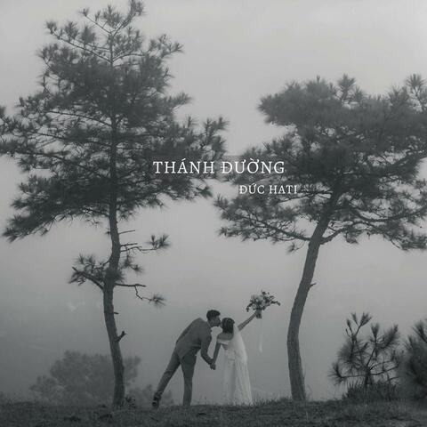 Thánh Đường album art