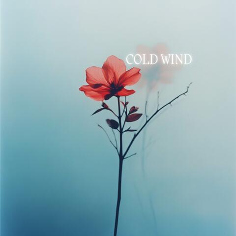Cold Wind album art