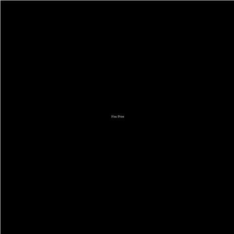 Fine Print album art