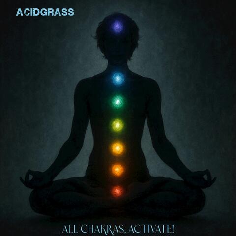 All Chakras, Activate album art