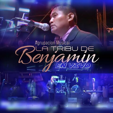 Concierto 2015 Terminal Zona 4 album art