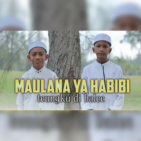 Maulana Ya Habibi album art