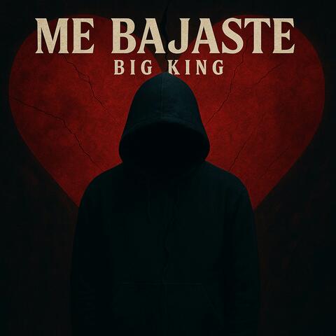 Me bajaste album art