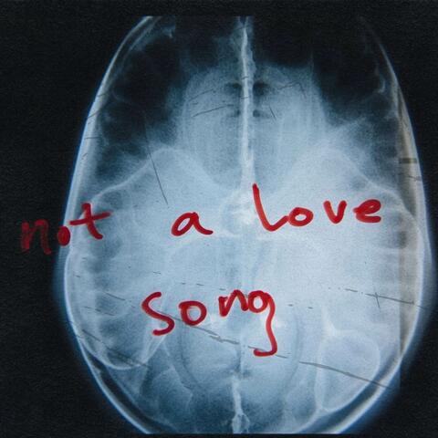 not a love song album art