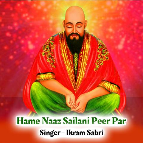 Hame Naaz Sailani Peer Par album art