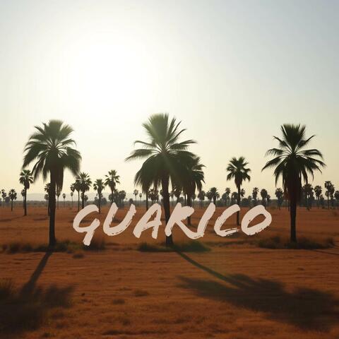 Guarico album art