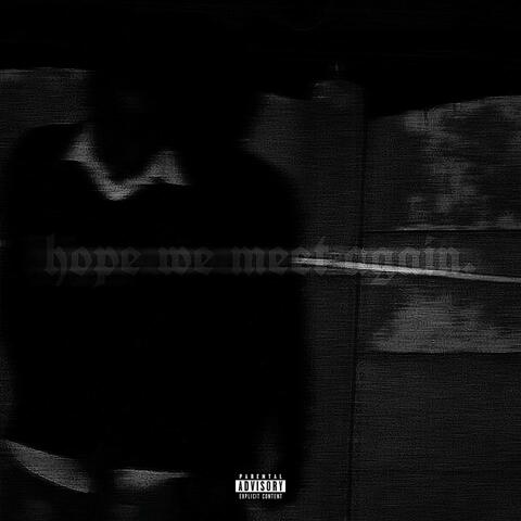 hope we meet again. album art