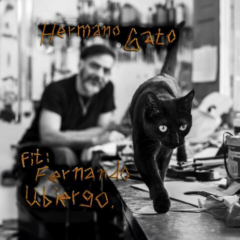 Hermano Gato album art