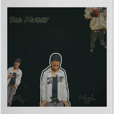 Fly so high album art